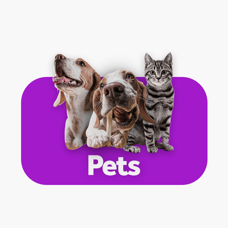 Pets - dk digital